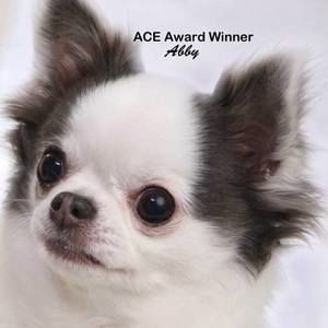 Meet your Posher, Cathy